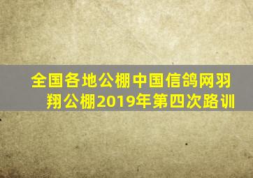 全国各地公棚中国信鸽网羽翔公棚2019年第四次路训