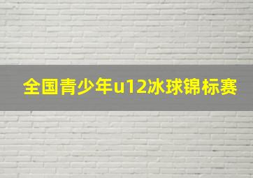 全国青少年u12冰球锦标赛