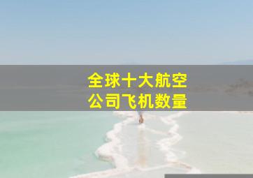 全球十大航空公司飞机数量