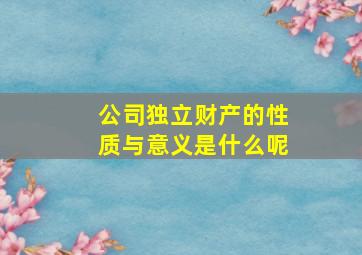 公司独立财产的性质与意义是什么呢