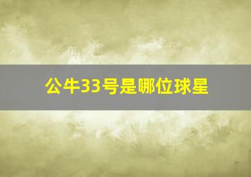 公牛33号是哪位球星