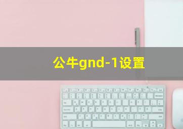 公牛gnd-1设置