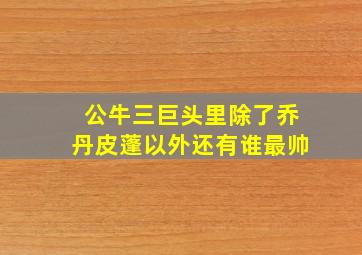 公牛三巨头里除了乔丹皮蓬以外还有谁最帅