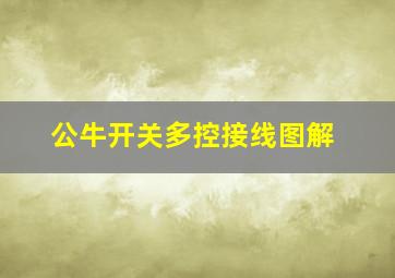 公牛开关多控接线图解