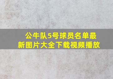 公牛队5号球员名单最新图片大全下载视频播放