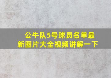 公牛队5号球员名单最新图片大全视频讲解一下