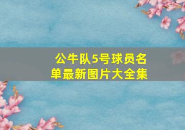 公牛队5号球员名单最新图片大全集