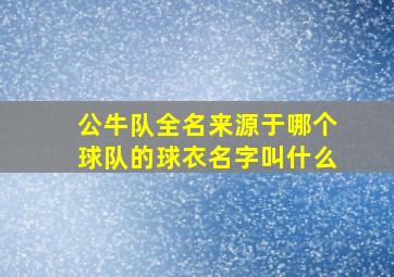 公牛队全名来源于哪个球队的球衣名字叫什么