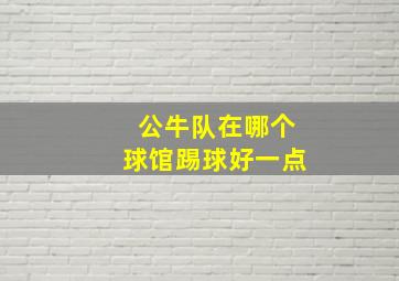 公牛队在哪个球馆踢球好一点