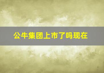 公牛集团上市了吗现在