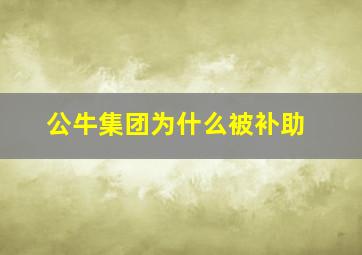 公牛集团为什么被补助