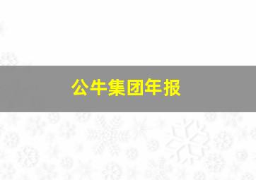 公牛集团年报