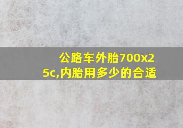 公路车外胎700x25c,内胎用多少的合适