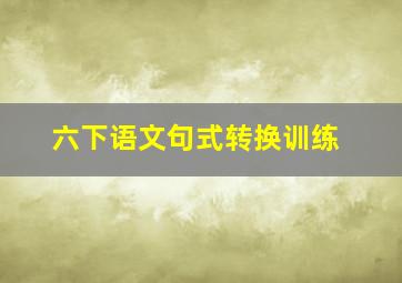 六下语文句式转换训练