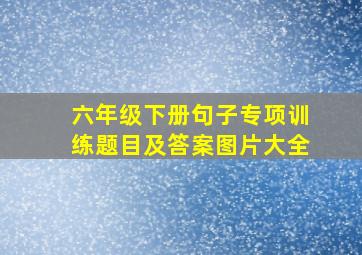 六年级下册句子专项训练题目及答案图片大全