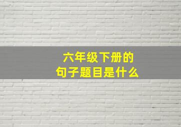 六年级下册的句子题目是什么