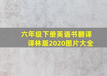 六年级下册英语书翻译译林版2020图片大全