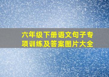 六年级下册语文句子专项训练及答案图片大全