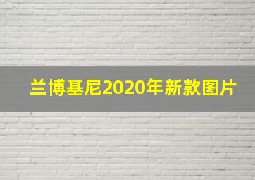 兰博基尼2020年新款图片