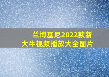 兰博基尼2022款新大牛视频播放大全图片