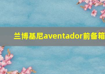 兰博基尼aventador前备箱