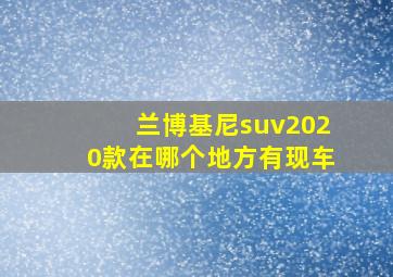 兰博基尼suv2020款在哪个地方有现车