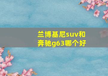 兰博基尼suv和奔驰g63哪个好