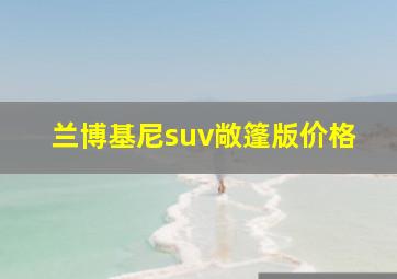 兰博基尼suv敞篷版价格