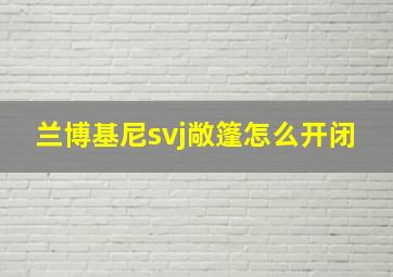 兰博基尼svj敞篷怎么开闭