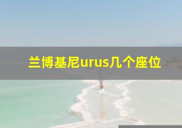 兰博基尼urus几个座位