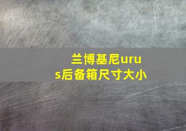 兰博基尼urus后备箱尺寸大小