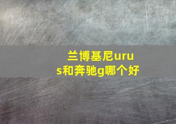 兰博基尼urus和奔驰g哪个好