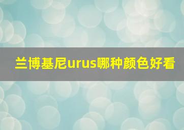 兰博基尼urus哪种颜色好看