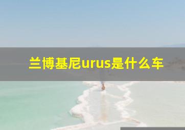 兰博基尼urus是什么车