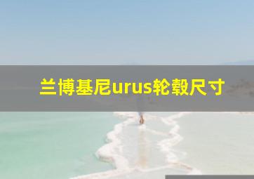 兰博基尼urus轮毂尺寸