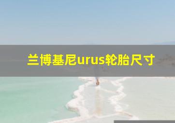 兰博基尼urus轮胎尺寸