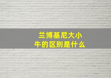 兰博基尼大小牛的区别是什么