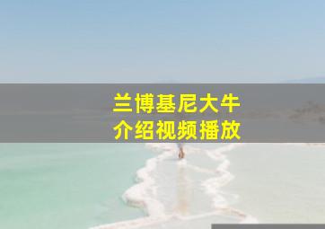 兰博基尼大牛介绍视频播放