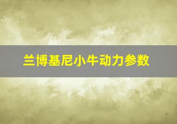 兰博基尼小牛动力参数