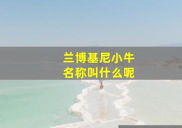 兰博基尼小牛名称叫什么呢