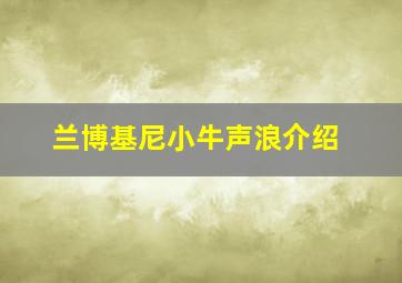 兰博基尼小牛声浪介绍