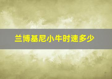 兰博基尼小牛时速多少