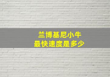 兰博基尼小牛最快速度是多少