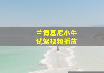 兰博基尼小牛试驾视频播放