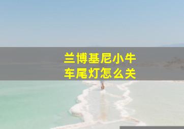 兰博基尼小牛车尾灯怎么关