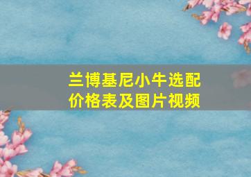 兰博基尼小牛选配价格表及图片视频