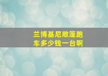 兰博基尼敞篷跑车多少钱一台啊