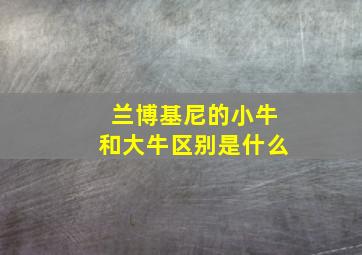 兰博基尼的小牛和大牛区别是什么