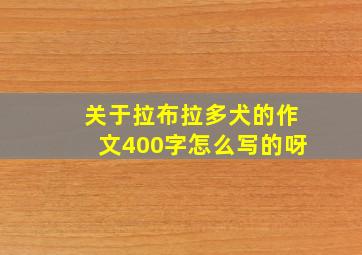 关于拉布拉多犬的作文400字怎么写的呀