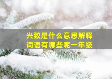 兴致是什么意思解释词语有哪些呢一年级